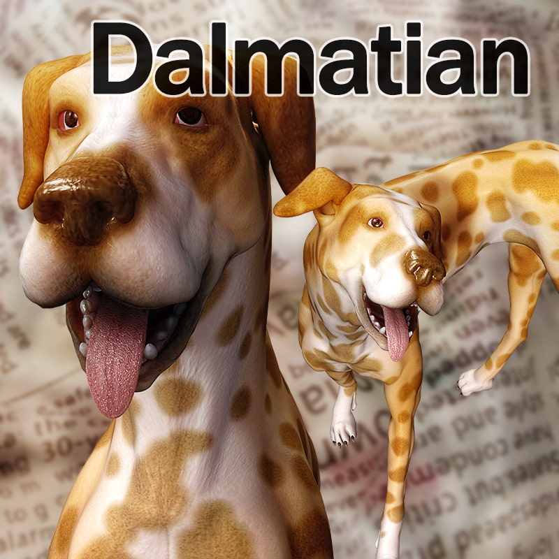 CL-Dalmatian for Poser8Dog