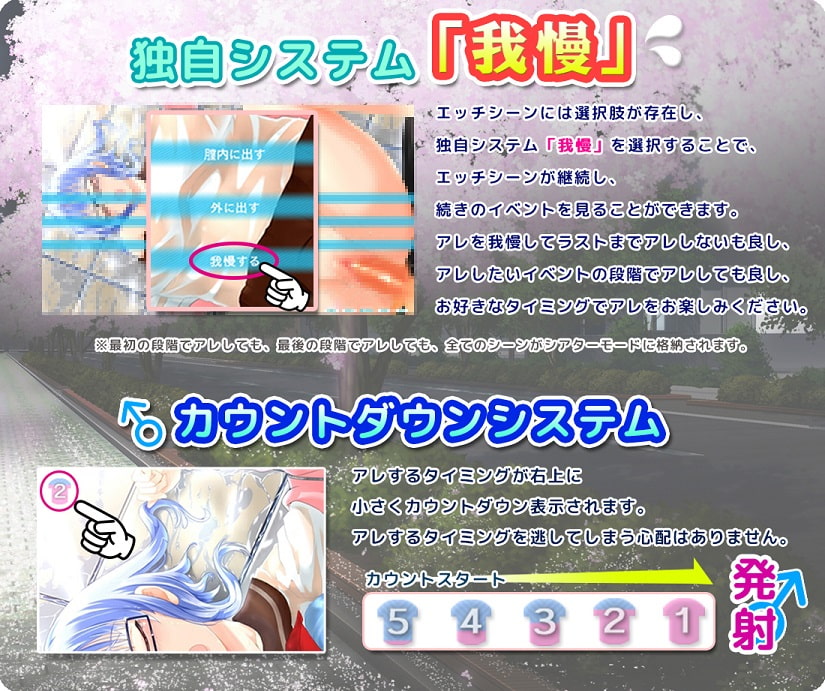 グラッシーズガール