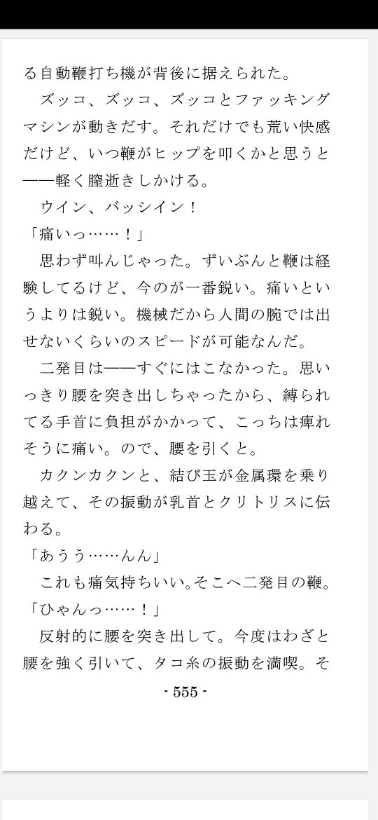 縄と鞭の体育補習