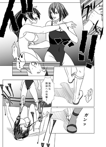 メディア女子プロレス～復讐～