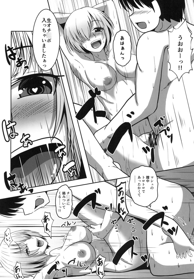 カルデアJKコレクションvol.1 マシュ・キ○エライト