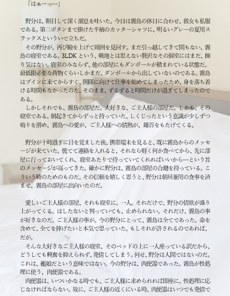 嗜虐の艦隊 弐