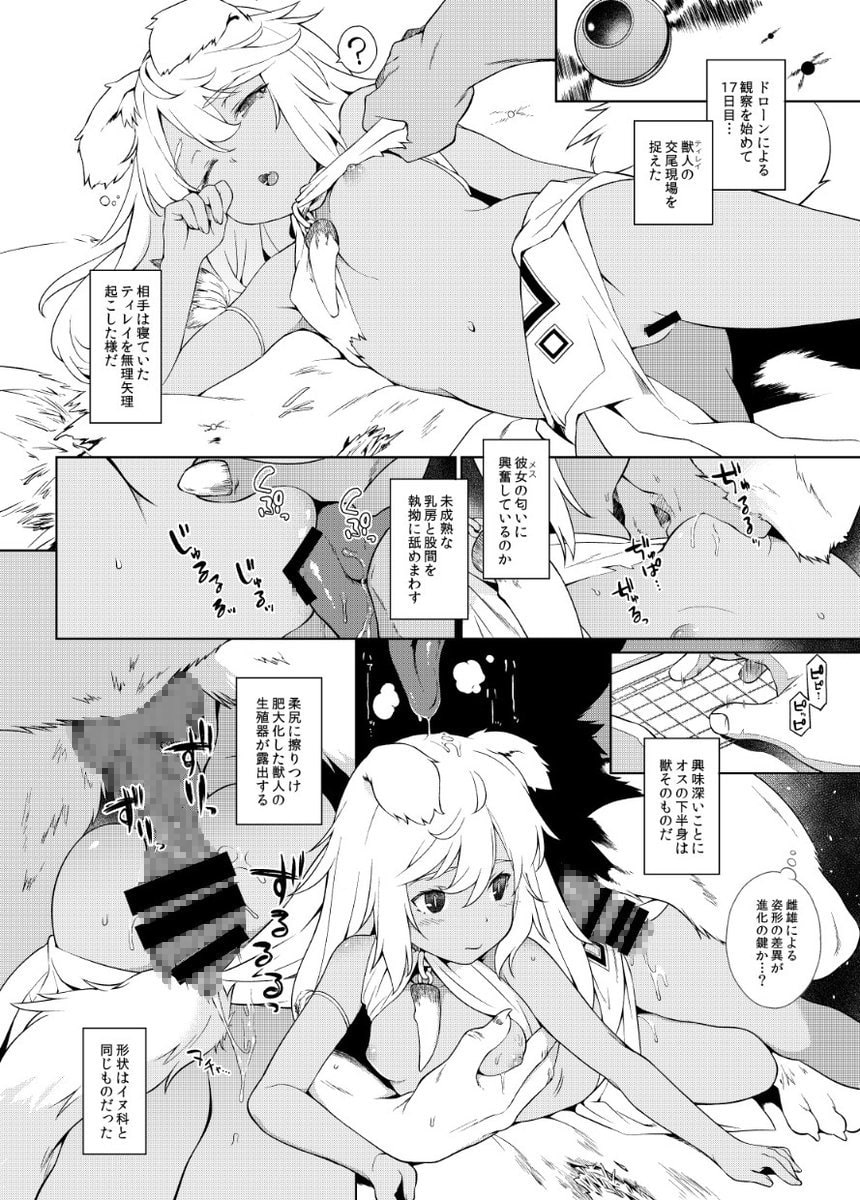 獣人生態観察記録