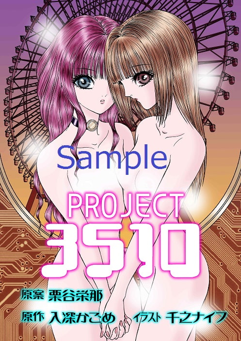 PROJECT 3510