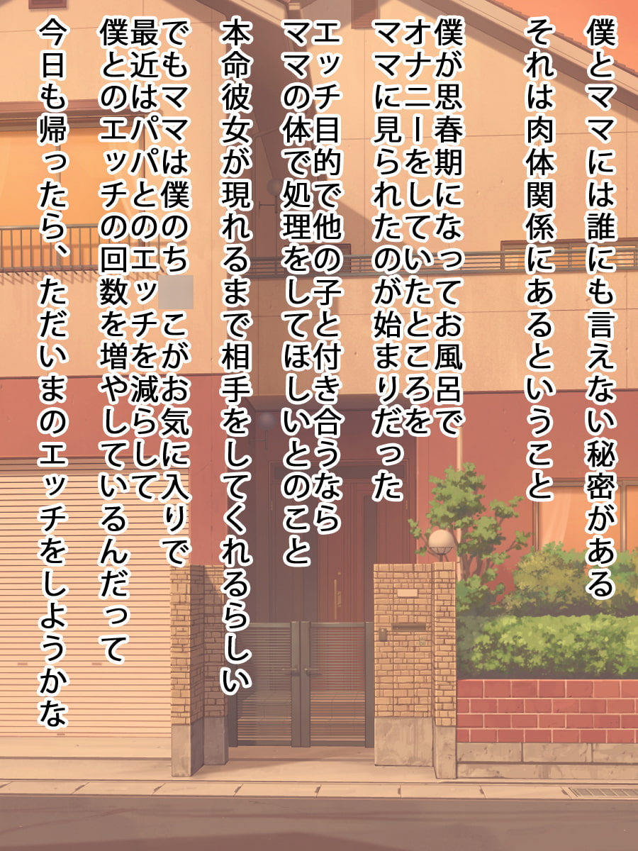 エッチ好き好きママ