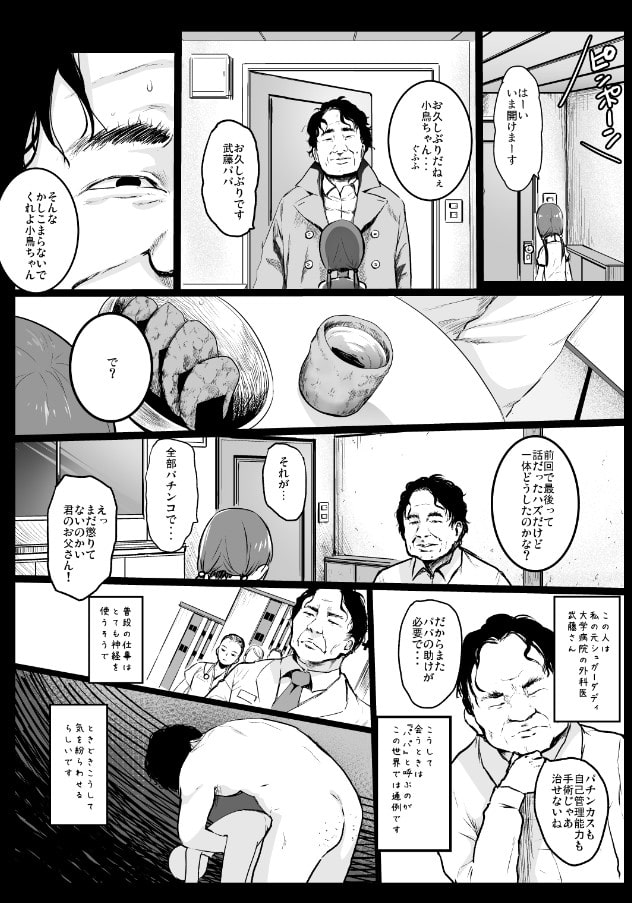 援交日誌～小泉ことりの場合～