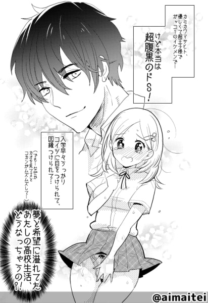 学校イチの王子様が実はドSで腹黒だけど あたしのふたなりチ○ポの前だと即堕ちメスアヘ顔さらしちゃうって本当ですか?!