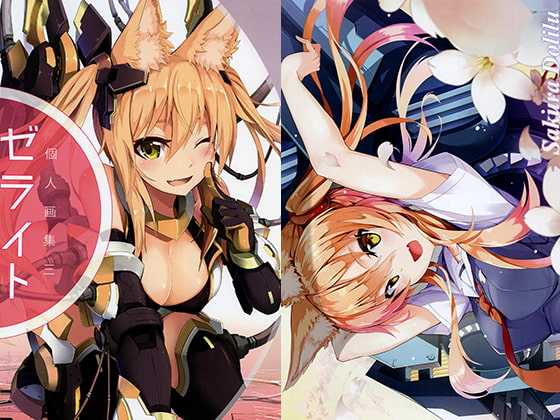 ゼライト個人画集三