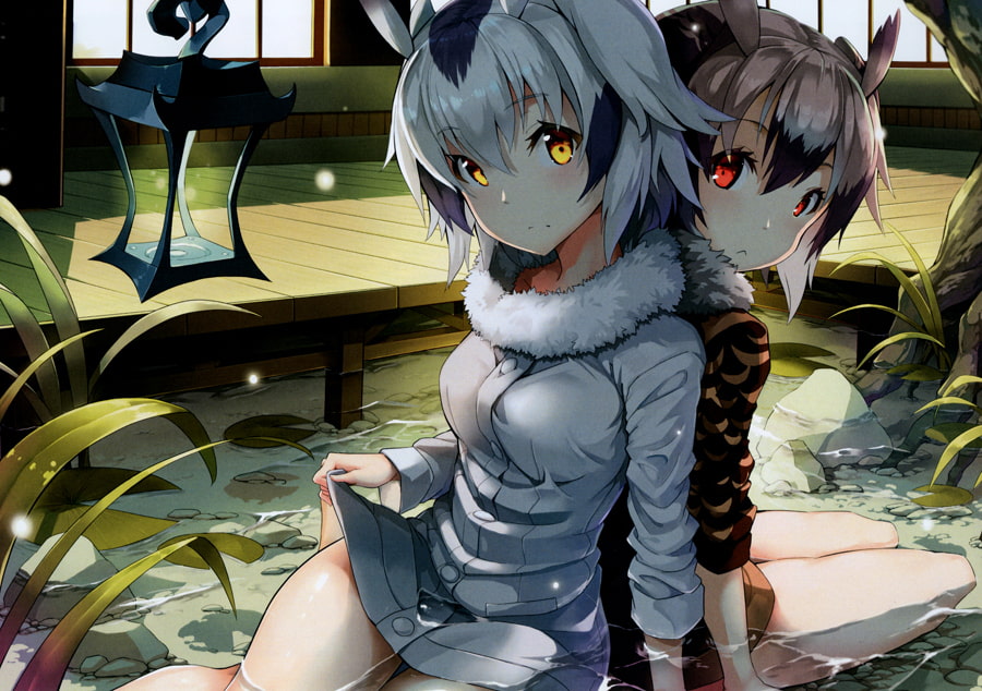 ゼライト個人画集三