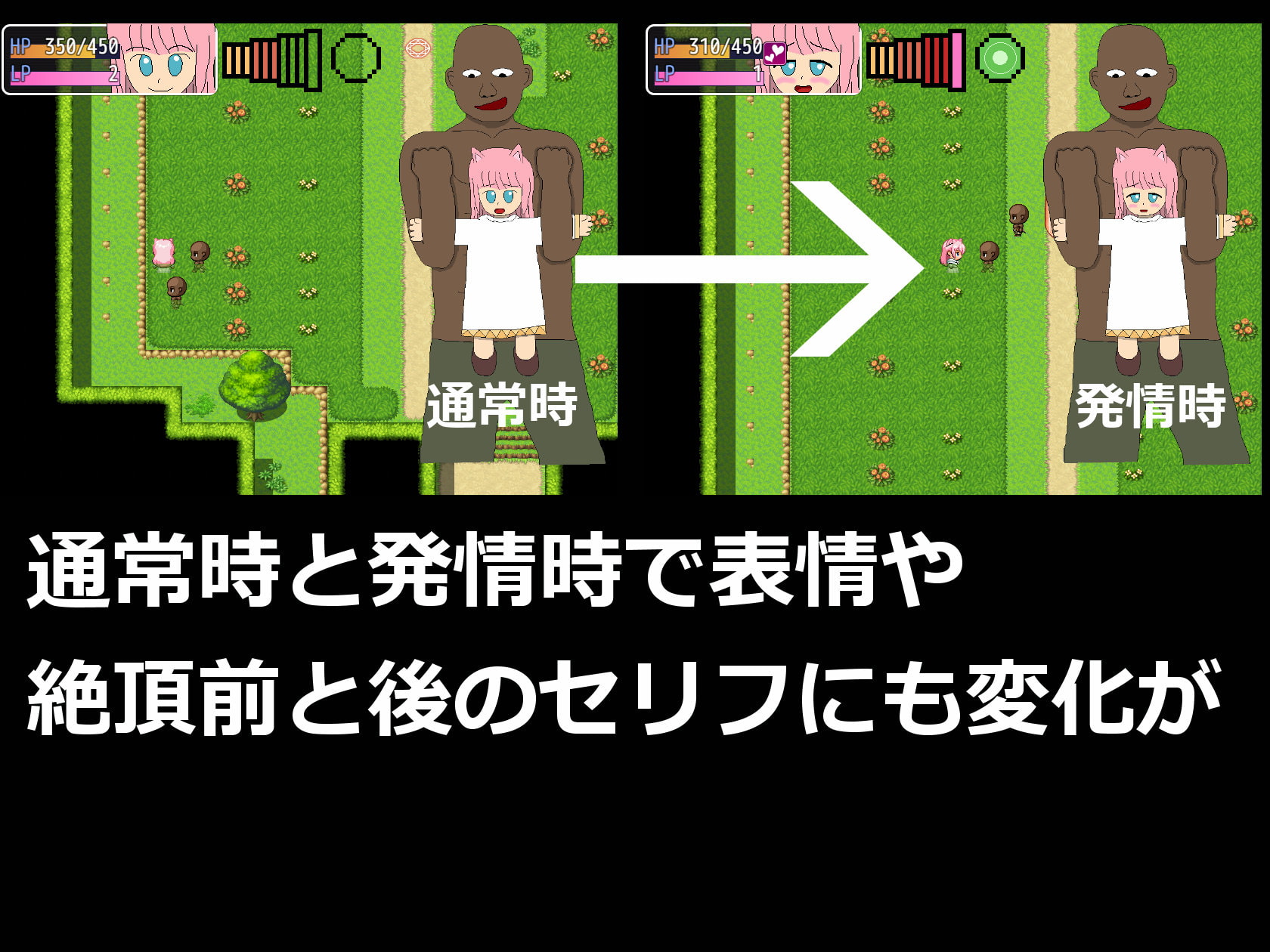 猫娘発情注意報!!