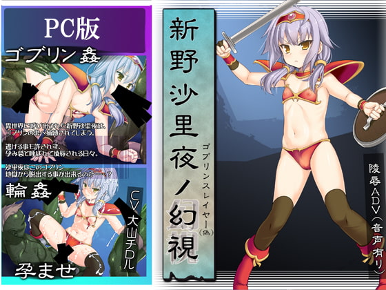 新野沙里夜ノ幻視