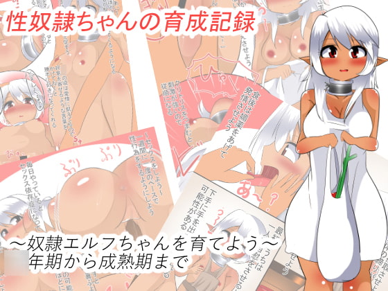 性奴隷ちゃんの育成記録