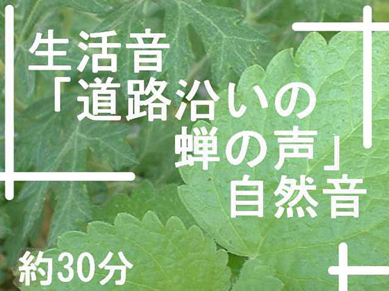 生活音「道路沿いの蝉の声」自然音