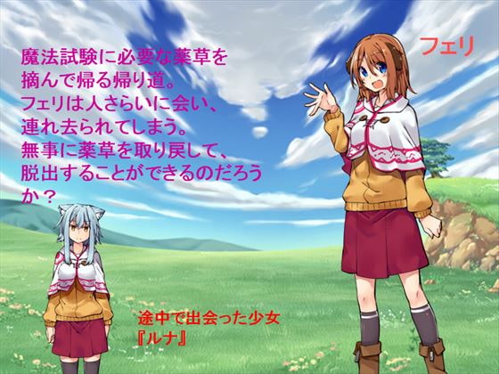フェリの魔法試験～災難な1日～