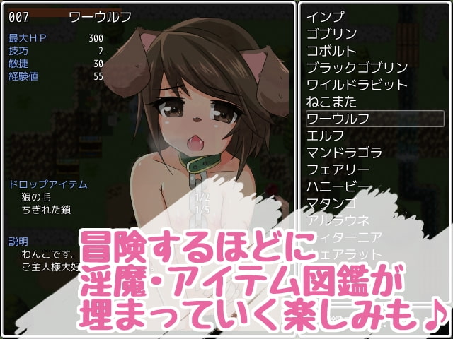 淫魔島のエクスプローラー3