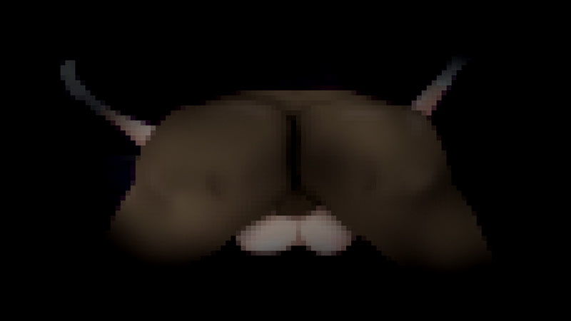 清純アイドルが堕ちるまで