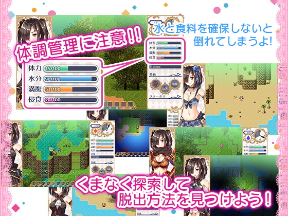 ロイヤル令嬢漂流記