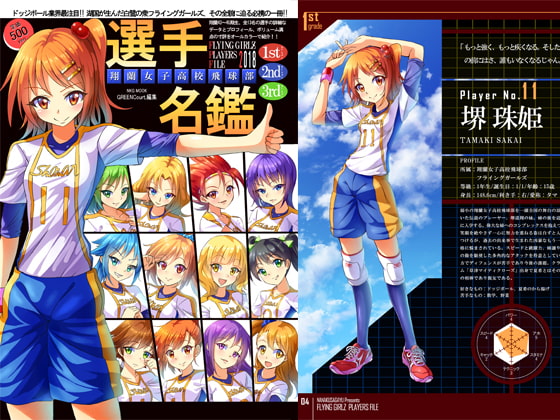 フライングガールズ プレーヤーズファイル2018