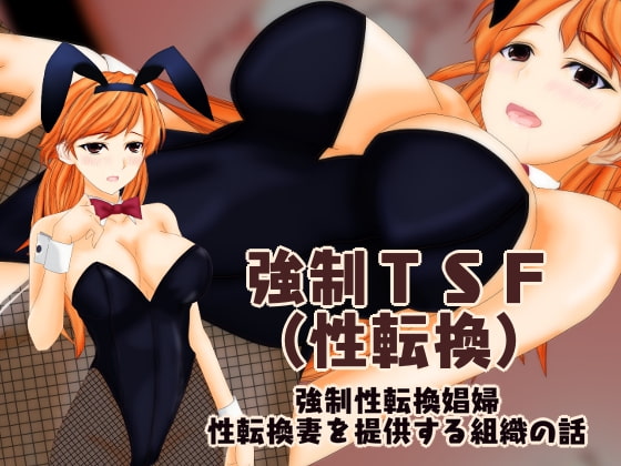 強制TSF(性転換) 強制性転換娼婦・性転換妻を提供する組織の話