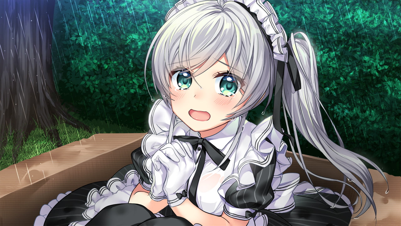 拾われメイドのセシル