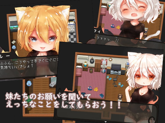 にゃん娘たちとのおかしな日常