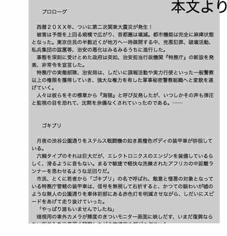 secret police 海猫03