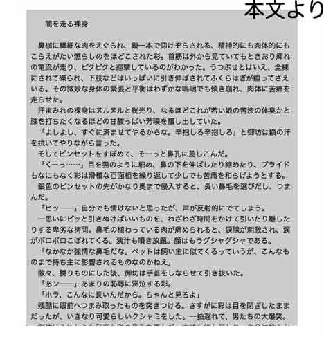 secret police 海猫03