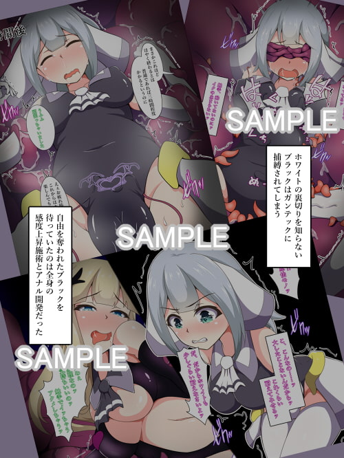 魔法少女セイントセイバーブラック～二穴責め悪堕ち編～