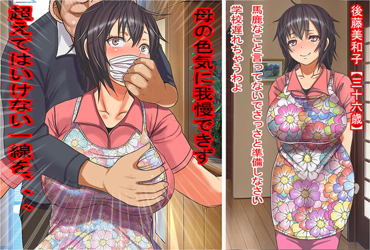 思春期も後半になると母のエロさが分かってきたので強引に俺の物にした話