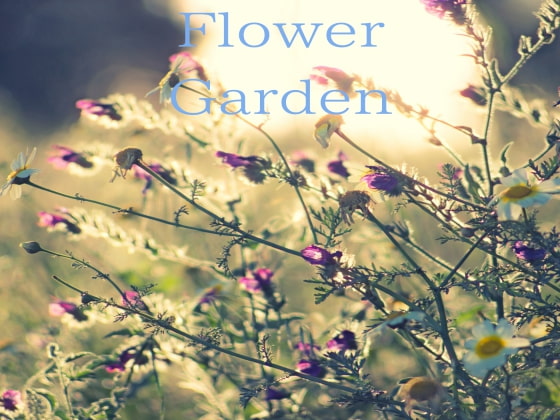 Flower Garden