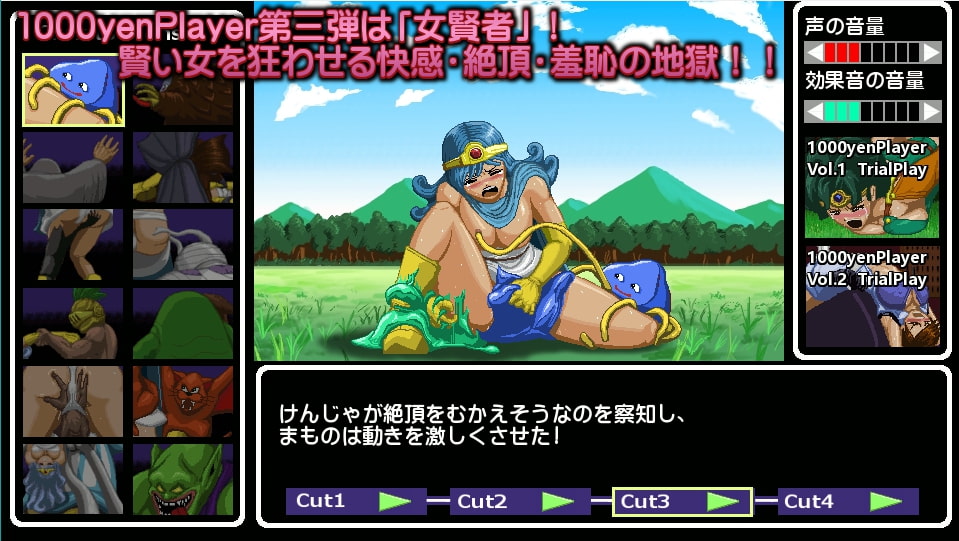 女賢者対モンスター姦