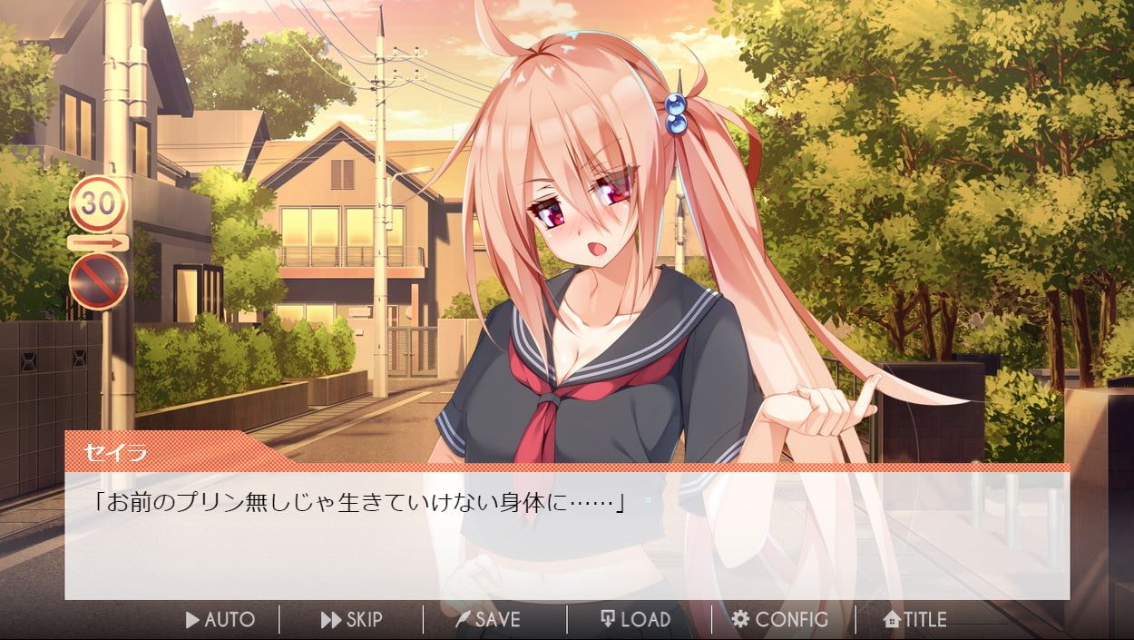 専属メイドに夜露死苦!