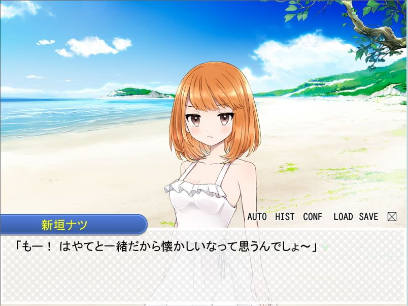 ナツと5つの願いごと