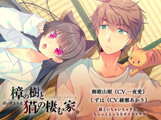 ぼいすどらま・樟の樹と猫の棲む家。