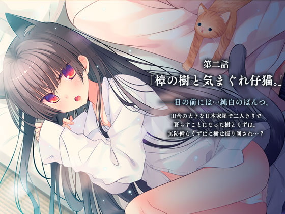 ぼいすどらま・樟の樹と猫の棲む家。