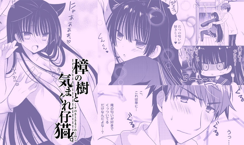 ぼいすどらま・樟の樹と猫の棲む家。