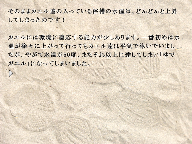 自己を変える飛翔電脳塾