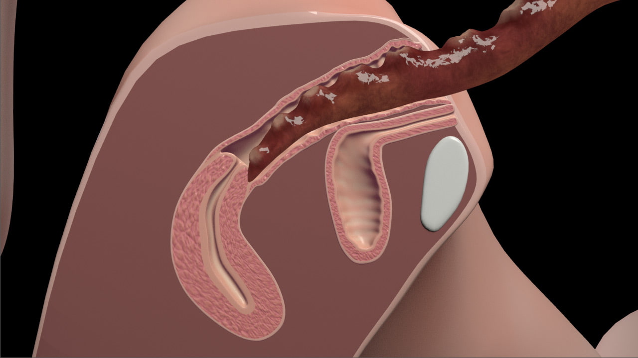 タコ温泉ぬらり館
