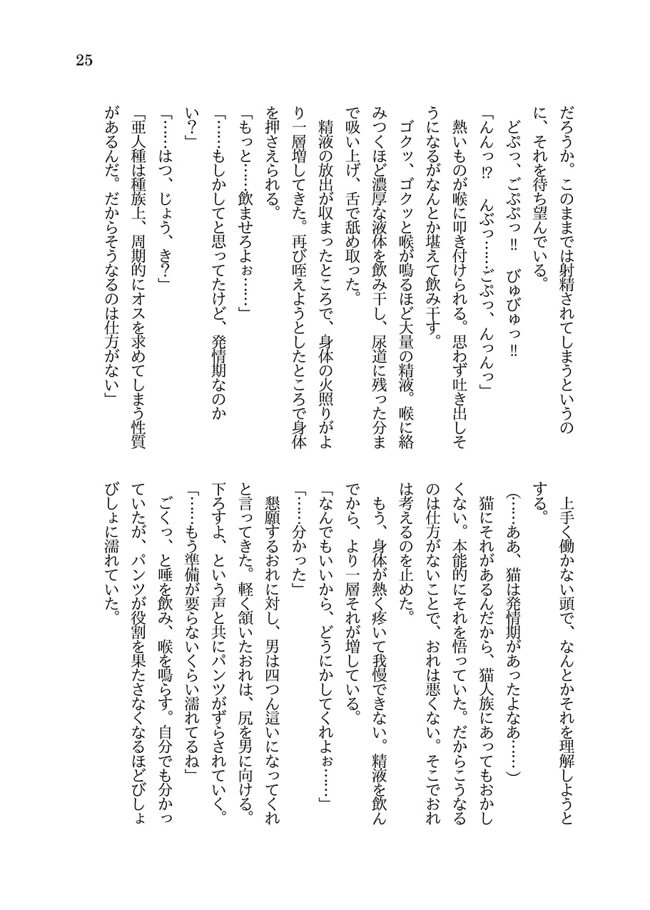 ワケあり魔術師に拾われた転生TSロリにゃん娘がメス堕ちしていちゃらぶHするようになるまでのお話