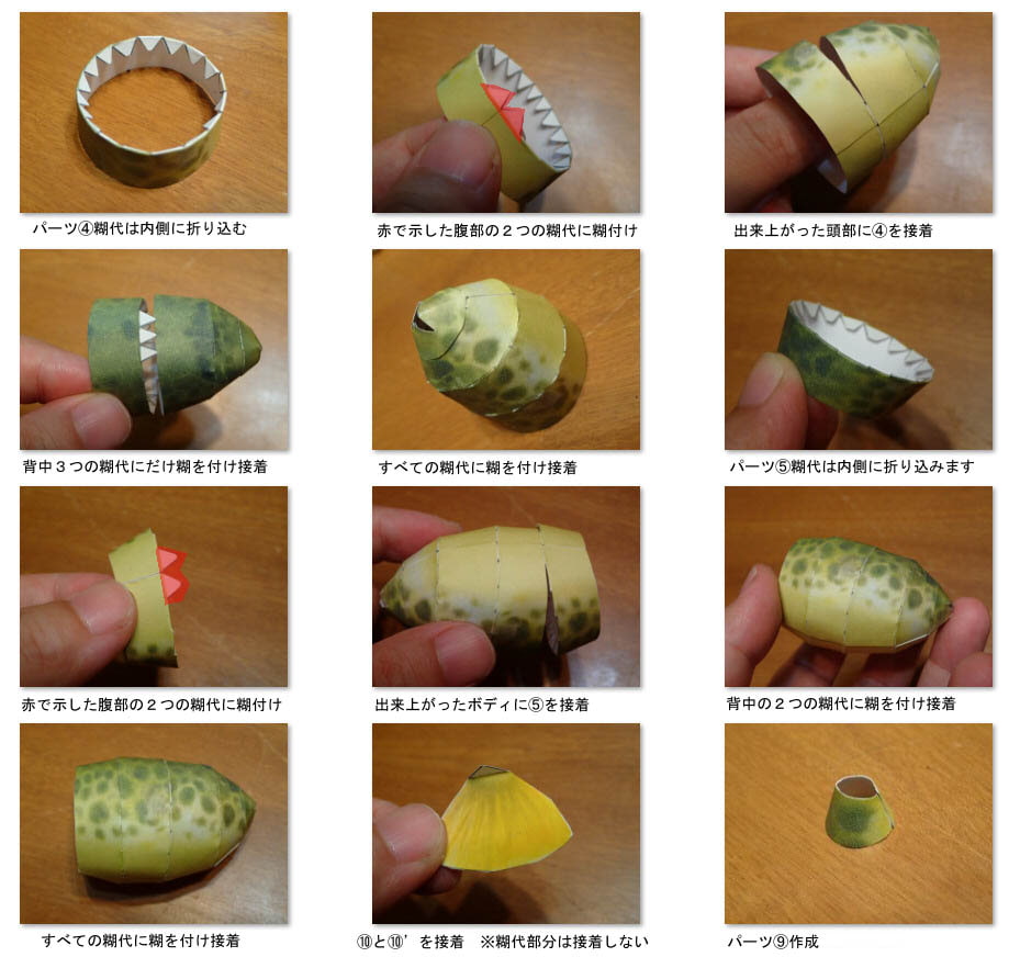 フグペパ:テトラオドン・ショウテデニィ