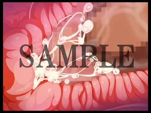 素材集その2 膣内断面図Vol.1