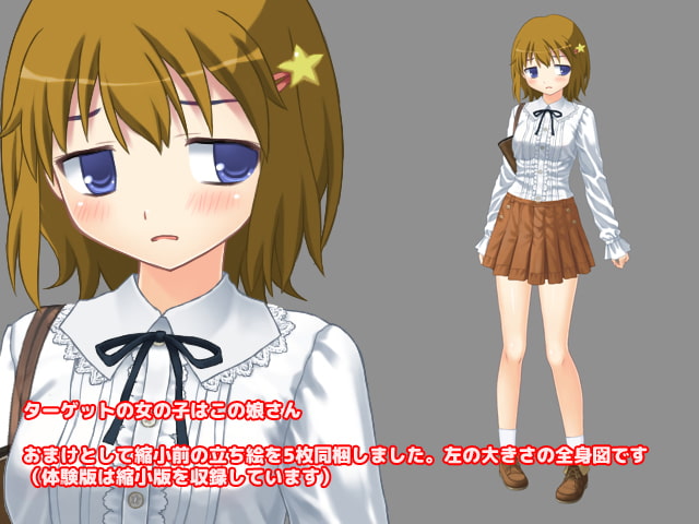 今日も痴漢中! Vol10 私服のロリお嬢様編