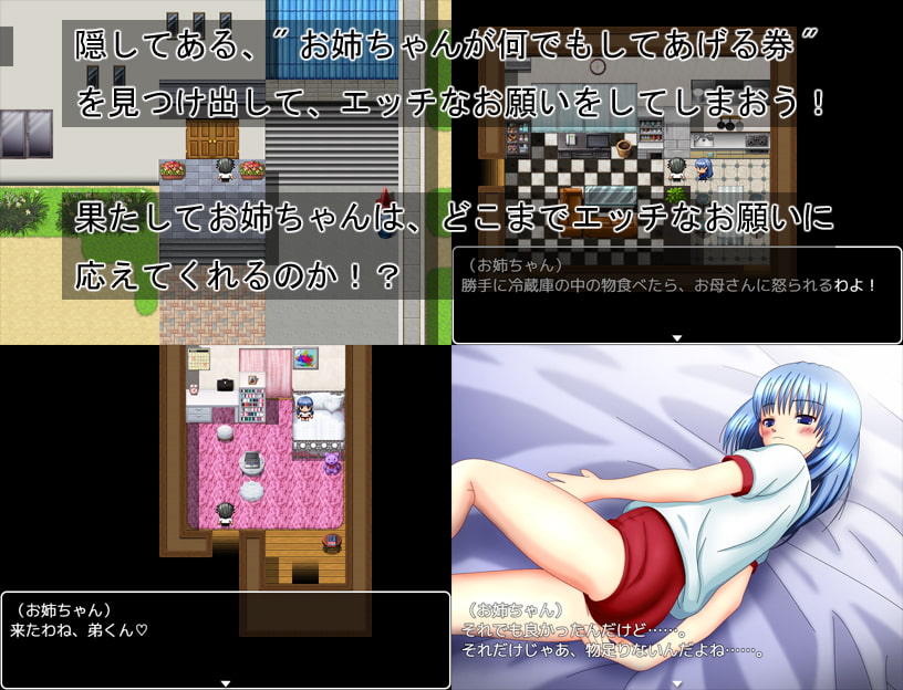 家のお姉ちゃんR