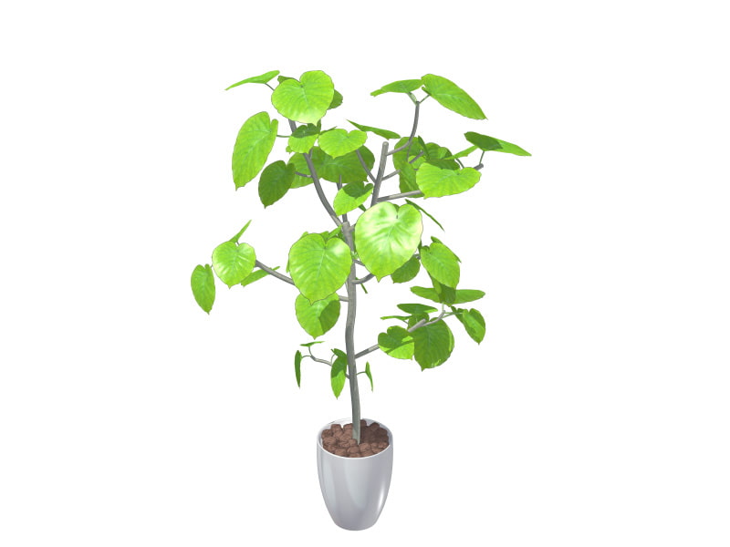 全角度対応イベントCG用背景素材集 『室内、小物』