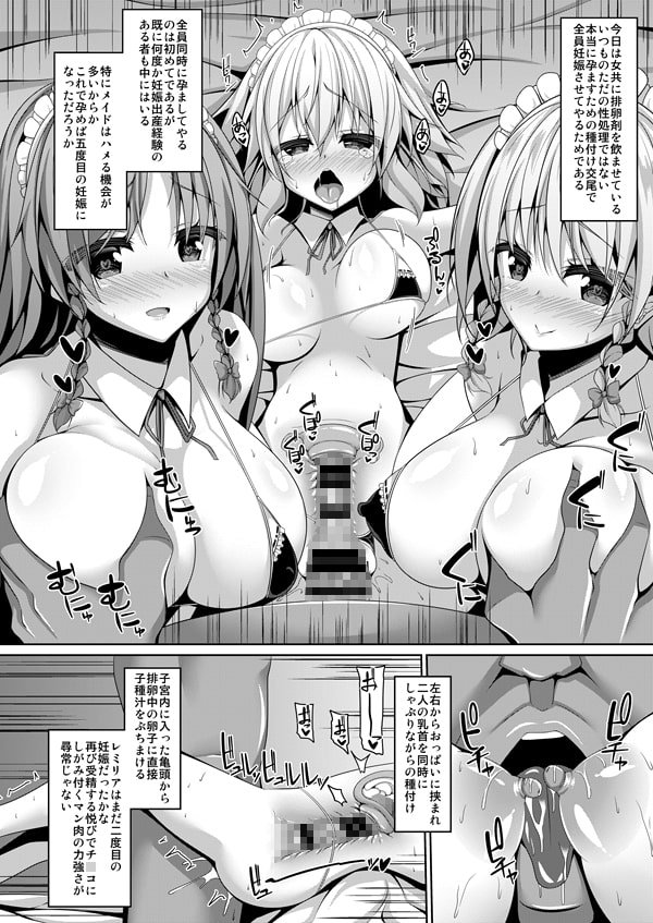 紅魔館メイドハーレム性活