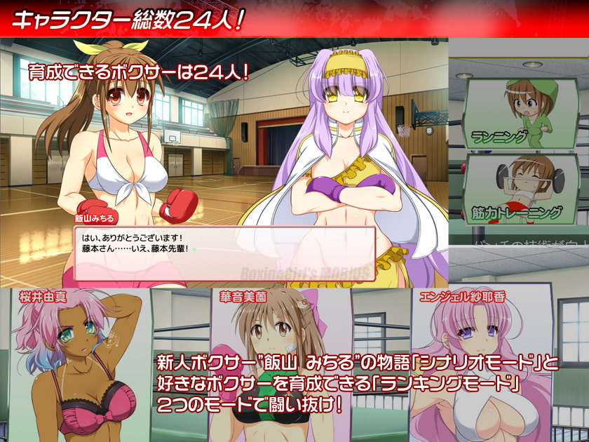 ボクシングガールズ・メビウス