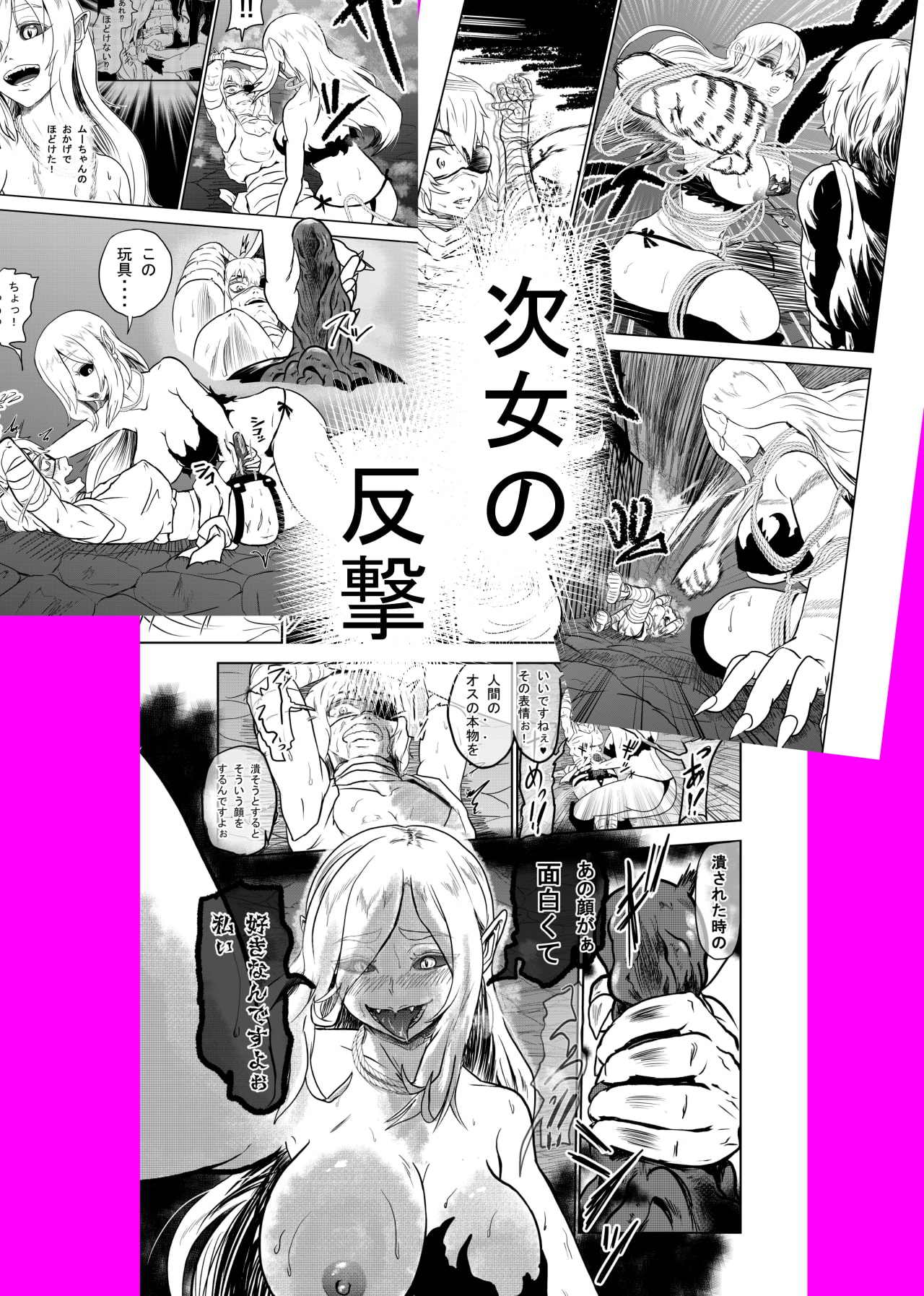 ヴァンパレイド3 ～吸血鬼 三姉妹 捕縛編～