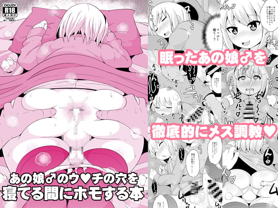 あの娘♂のウ○チの穴を寝てる間にホモする本