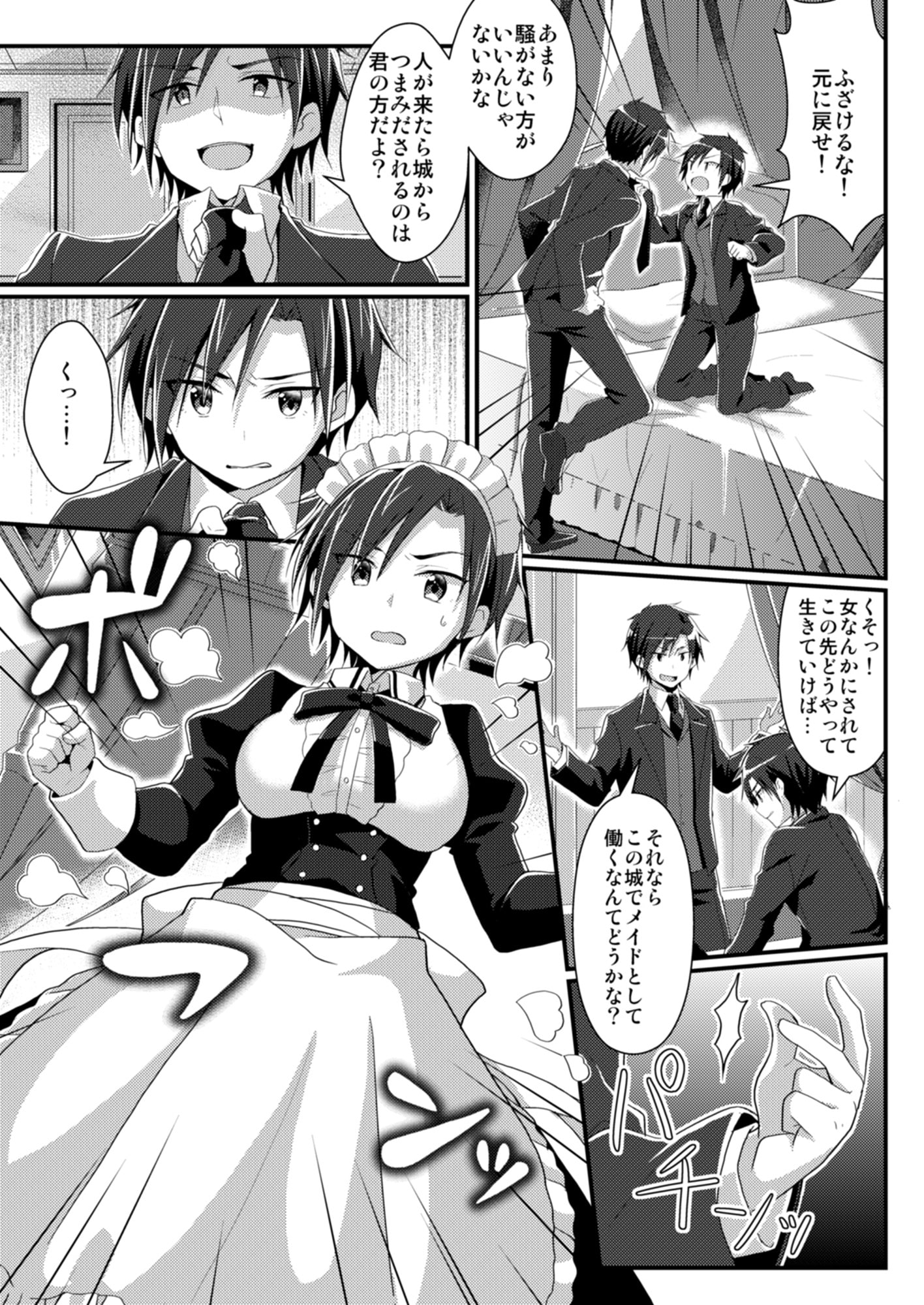 TSFのFのほん その5