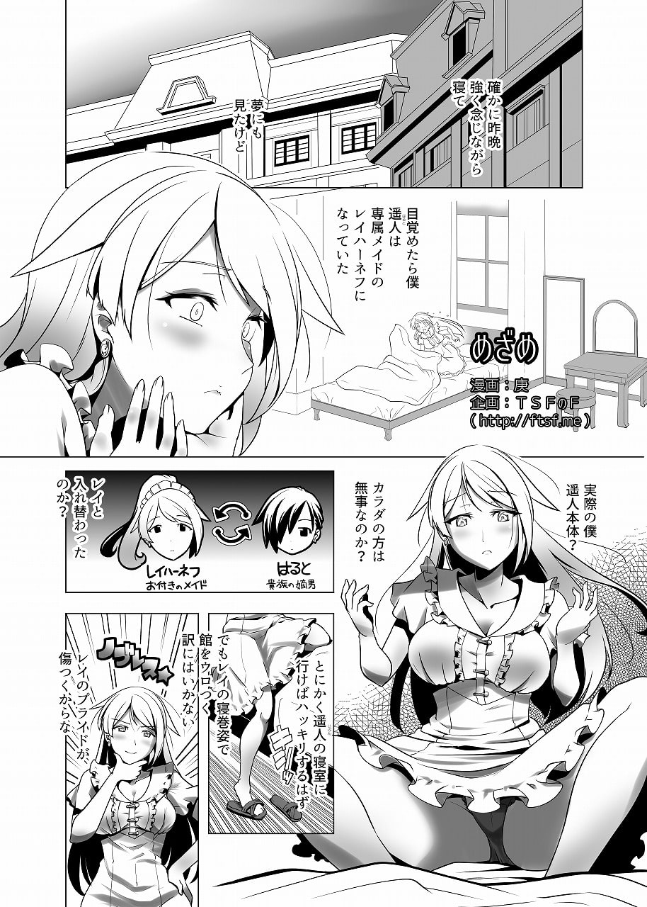 TSFのFのほん その5